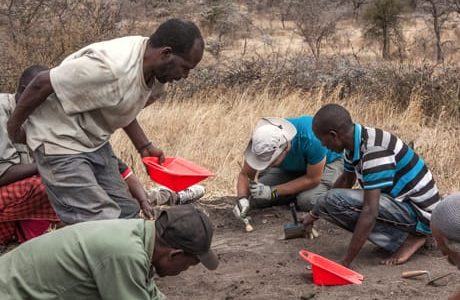 Tanzania – nuove orme scoperte a Laetoli cambiano lo scenario su Lucy e famiglia